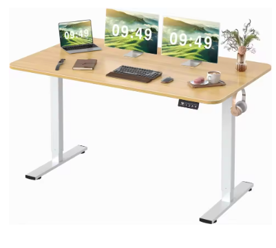 Furmax Electric Height Adjustable Standing Desk Large 55 x 24 Inches Sit Stand up Desk Home Office Computer Desk Memory Preset w